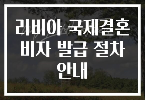 리비아 국제결혼 비자 발급 절차 안내