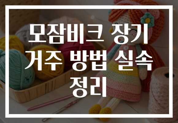 모잠비크 장기 거주 방법 실속 정리