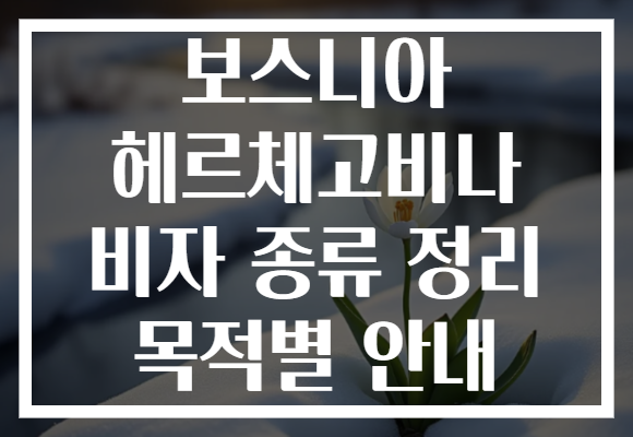 보스니아 헤르체고비나 비자 종류 정리 목적별 안내