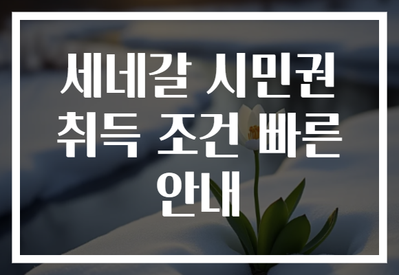 세네갈 시민권 취득 조건 빠른 안내
