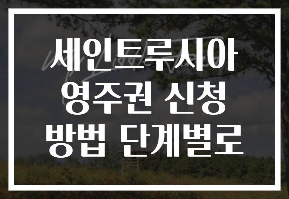 세인트루시아 영주권 신청 방법 단계별로