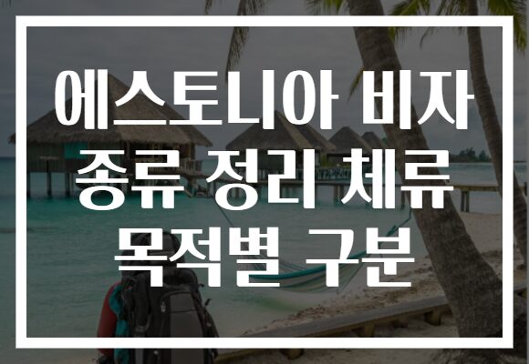 에스토니아 비자 종류 정리 체류 목적별 구분