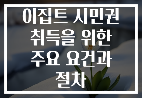 이집트 시민권 취득을 위한 주요 요건과 절차