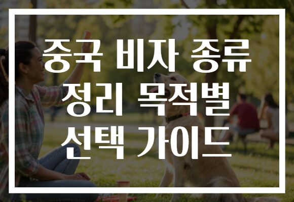 중국 비자 종류 정리 목적별 선택 가이드