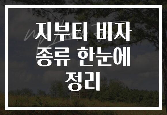 지부티 비자 종류 한눈에 정리