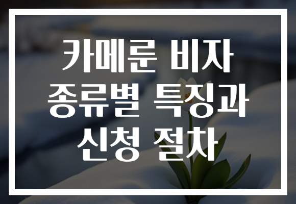 카메룬 비자 종류별 특징과 신청 절차