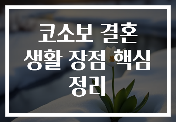 코소보 결혼 생활 장점 핵심 정리