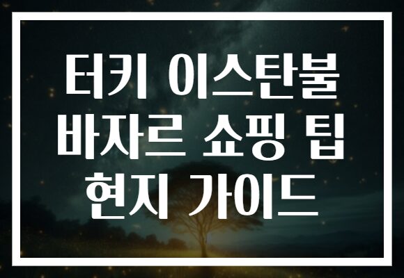 터키 이스탄불 바자르 쇼핑 팁 현지 가이드