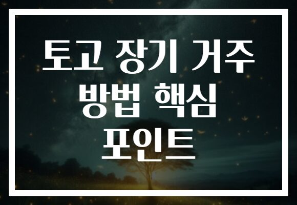 토고 장기 거주 방법 핵심 포인트