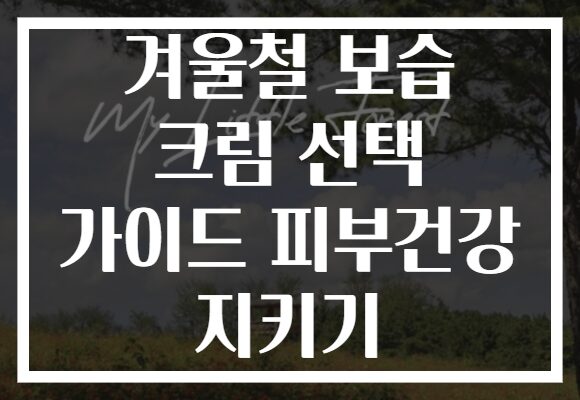 겨울철 보습 크림 선택 가이드 피부건강 지키기