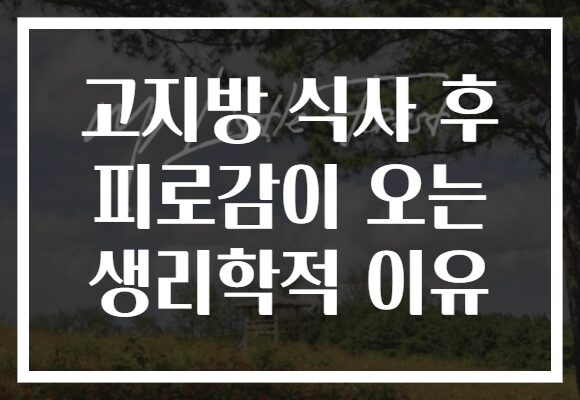 고지방 식사 후 피로감이 오는 생리학적 이유