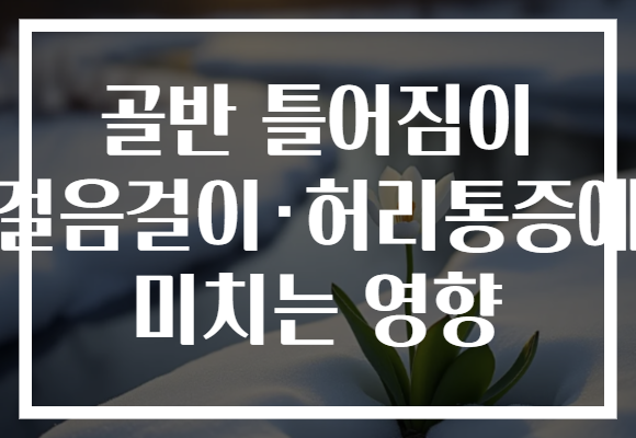 골반 틀어짐이 걸음걸이·허리통증에 미치는 영향
