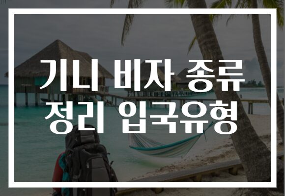 기니 비자 종류 정리 입국유형