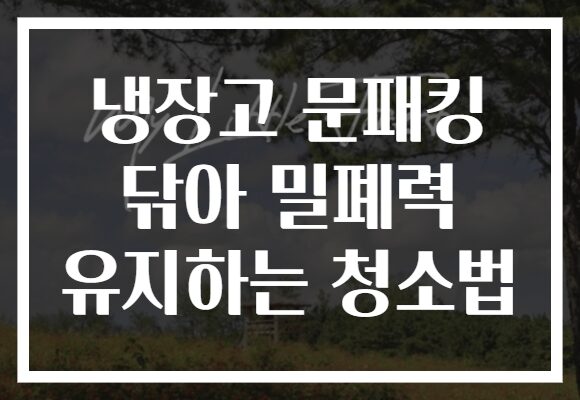 냉장고 문패킹 닦아 밀폐력 유지하는 청소법