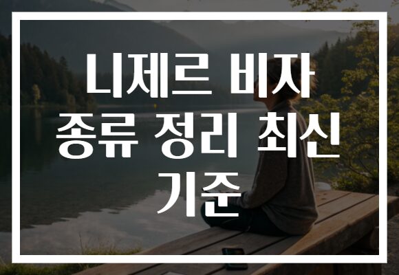 니제르 비자 종류 정리 최신 기준