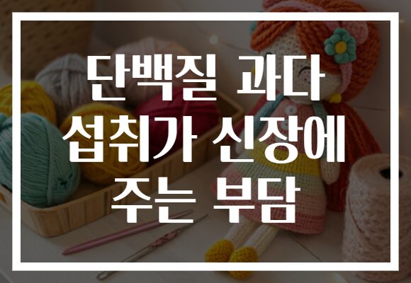 단백질 과다 섭취가 신장에 주는 부담