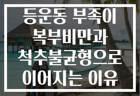 등운동 부족이 복부비만과 척추불균형으로 이어지는 이유