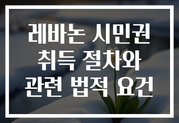 레바논 시민권 취득 절차와 관련 법적 요건