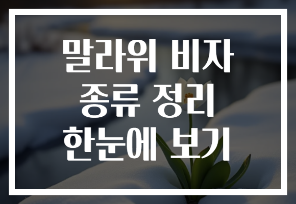 말라위 비자 종류 정리 한눈에 보기