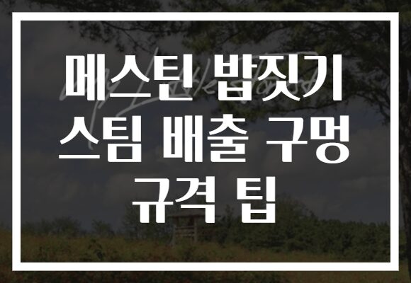 메스틴 밥짓기 스팀 배출 구멍 규격 팁