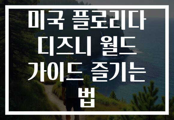미국 플로리다 디즈니 월드 가이드 즐기는 법