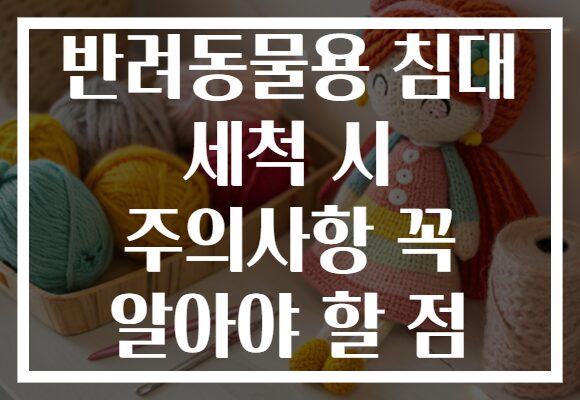 반려동물용 침대 세척 시 주의사항 꼭 알아야 할 점