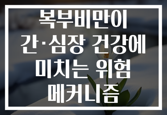 복부비만이 간·심장 건강에 미치는 위험 메커니즘