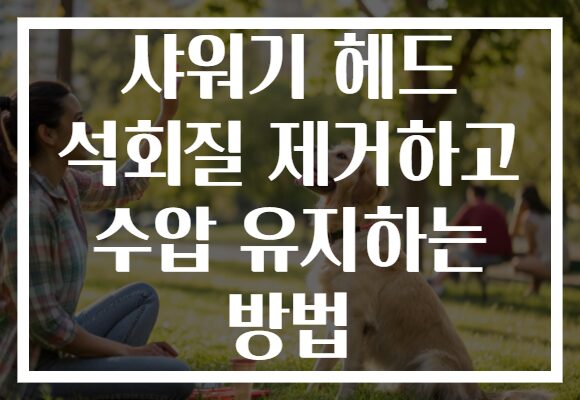 샤워기 헤드 석회질 제거하고 수압 유지하는 방법