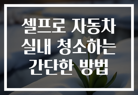 셀프로 자동차 실내 청소하는 간단한 방법