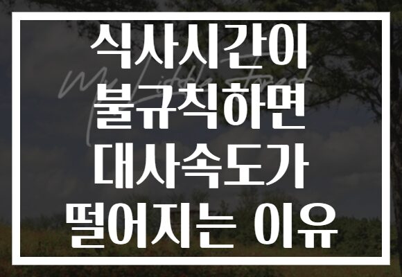 식사시간이 불규칙하면 대사속도가 떨어지는 이유