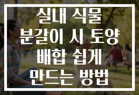 실내 식물 분갈이 시 토양 배합 쉽게 만드는 방법