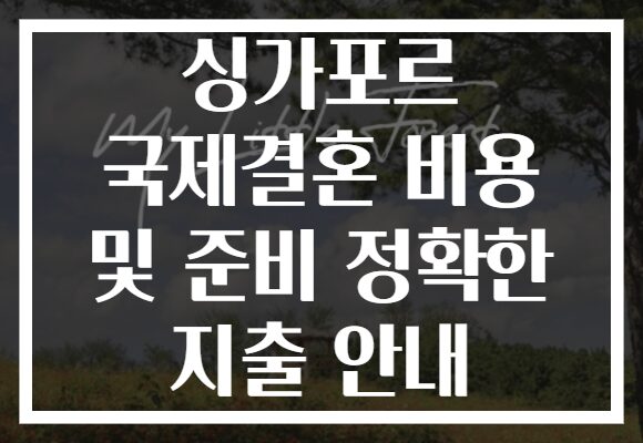 싱가포르 국제결혼 비용 및 준비 정확한 지출 안내