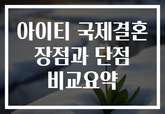 아이티 국제결혼 장점과 단점 비교요약