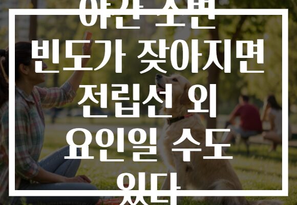 야간 소변 빈도가 잦아지면 전립선 외 요인일 수도 있다