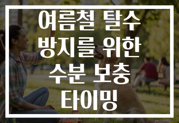 여름철 탈수 방지를 위한 수분 보충 타이밍