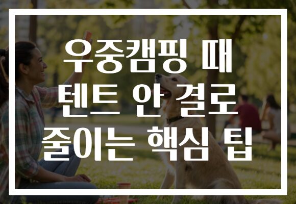 우중캠핑 때 텐트 안 결로 줄이는 핵심 팁