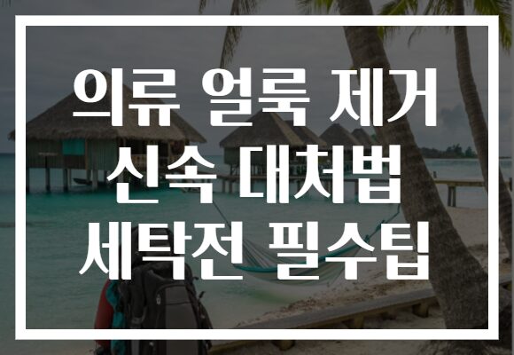 의류 얼룩 제거 신속 대처법 세탁전 필수팁