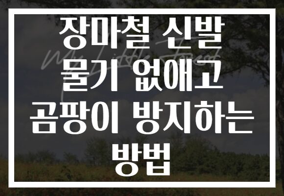 장마철 신발 물기 없애고 곰팡이 방지하는 방법
