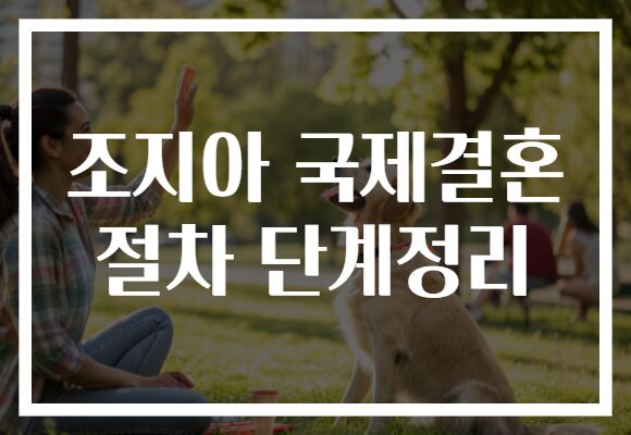 조지아 국제결혼 절차 단계정리