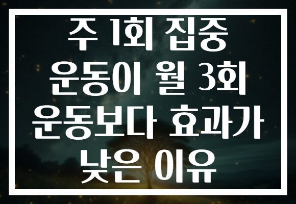 주 1회 집중 운동이 월 3회 운동보다 효과가 낮은 이유
