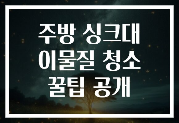 주방 싱크대 이물질 청소 꿀팁 공개