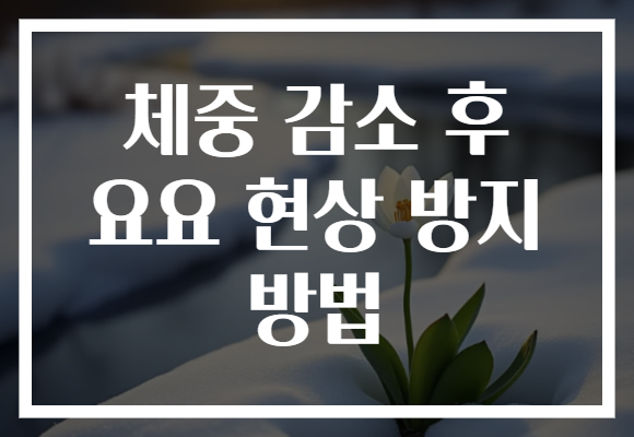 체중 감소 후 요요 현상 방지 방법