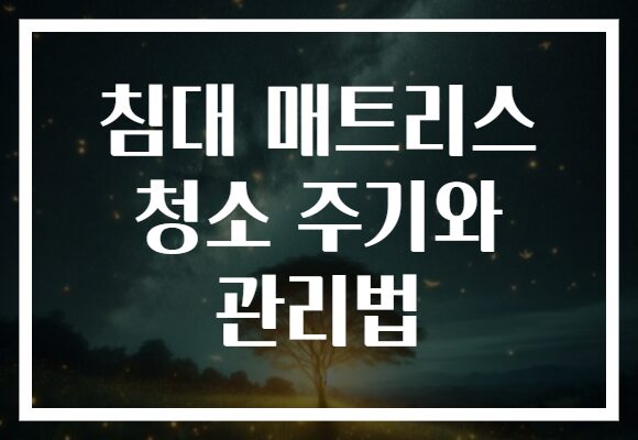 침대 매트리스 청소 주기와 관리법