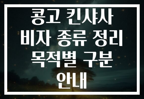 콩고 킨샤사 비자 종류 정리 목적별 구분 안내