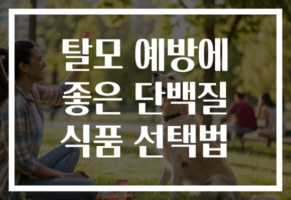 탈모 예방에 좋은 단백질 식품 선택법