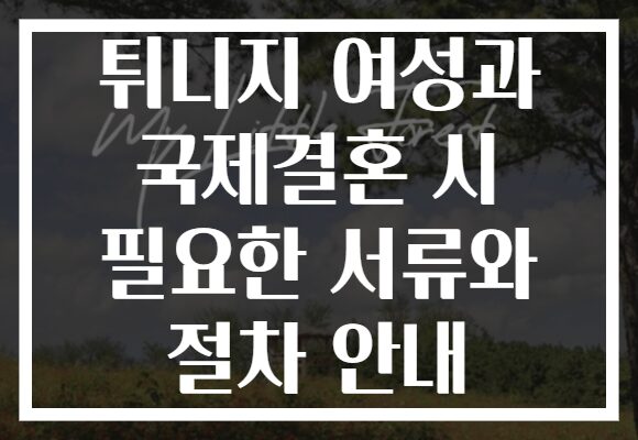 튀니지 여성과 국제결혼 시 필요한 서류와 절차 안내