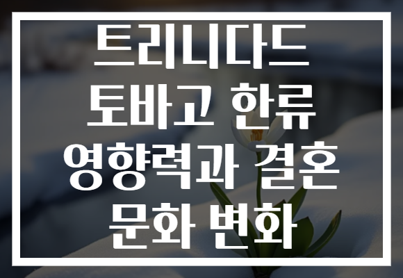 트리니다드 토바고 한류 영향력과 결혼 문화 변화