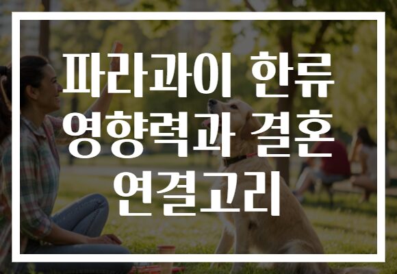 파라과이 한류 영향력과 결혼 연결고리