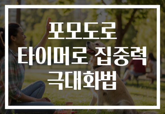 포모도로 타이머로 집중력 극대화법