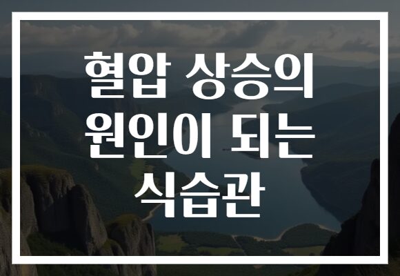 혈압 상승의 원인이 되는 식습관